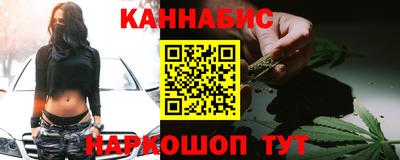 индика Ирбит