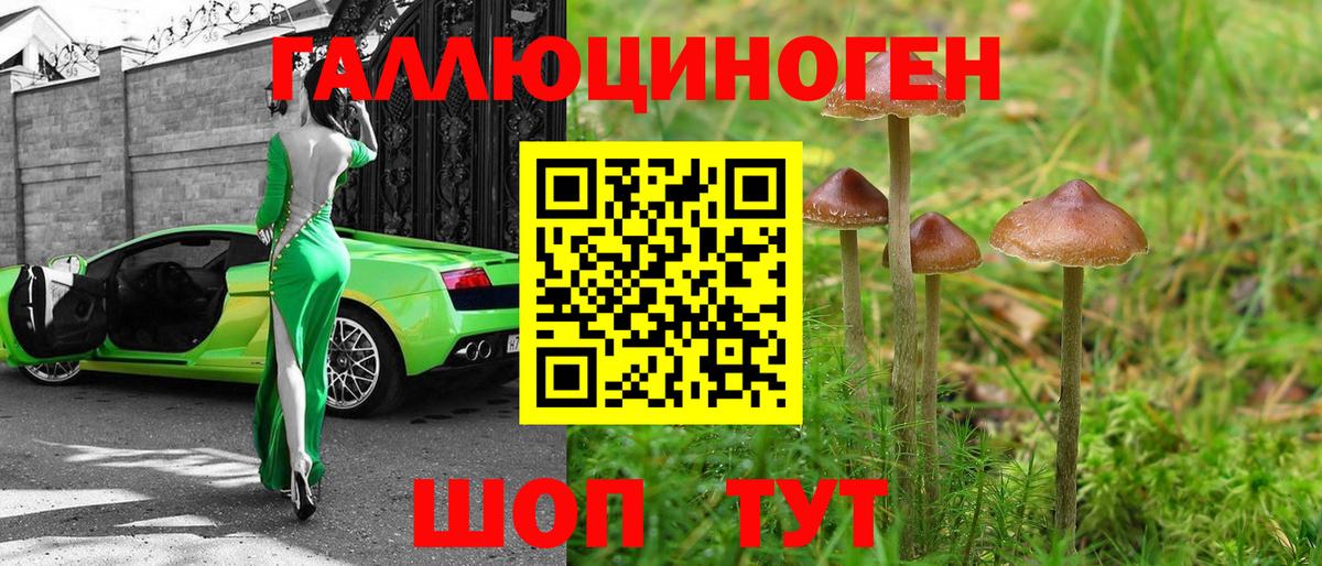 Псилоцибиновые грибы Psilocybine cubensis  Вход с VPN  Псилоцибиновые грибы Psilocybe  Кулебаки 